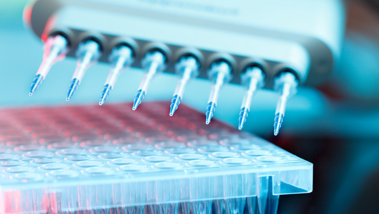 Gene Panel Market 2022 Size, Growth Factors & Forecast Report to 2028