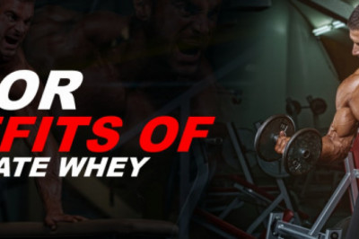 Isolate Whey Protein for Building Blocks of Muscles