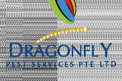 Pest Control Singapore