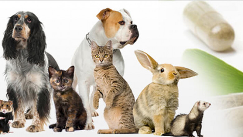 Global Pet Health Products Market Restraints