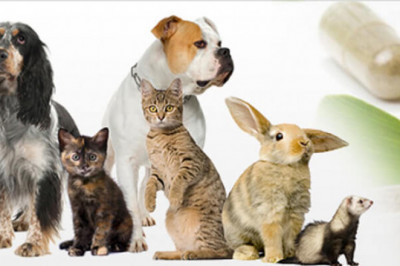 Global Pet Health Products Market Restraints