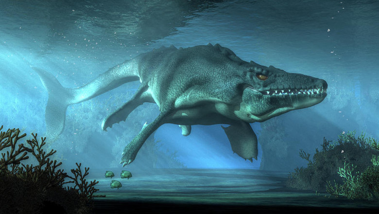 Mosasaurus