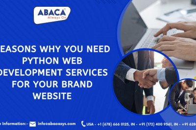 Python Web Development Services