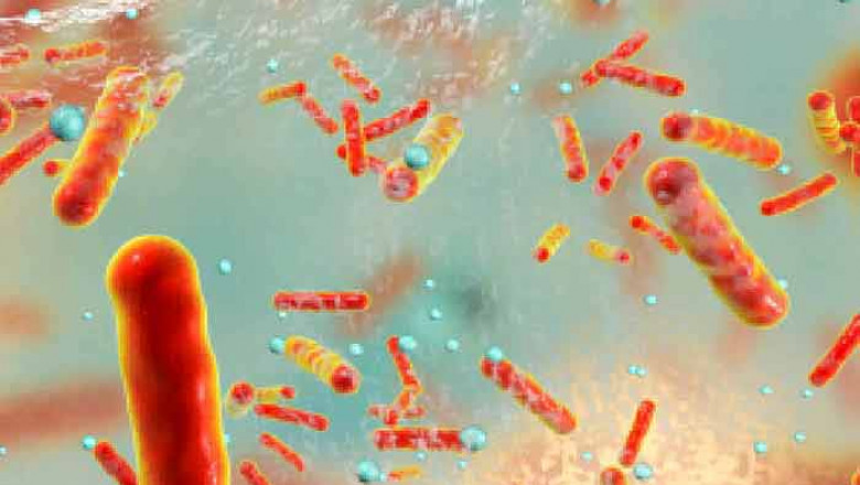 Sepsis Diagnostics Market to move forward at a double-digit CAGR by 2030