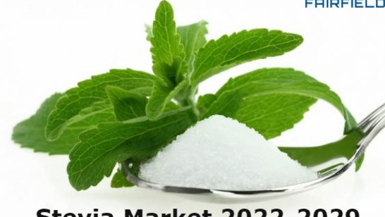 Stevia Market to be US$1,621 Mn by 2029, Rising from a total Worth of US$780 Mn in 2021