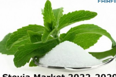 Stevia Market to be US$1,621 Mn by 2029, Rising from a total Worth of US$780 Mn in 2021