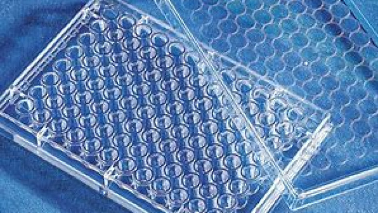 3D Cell Culture Market 2022 Global Impact of COVID-19 on Industry, Share, Growth, Trends, Analysis by Top Key Player and Forecast till 2028