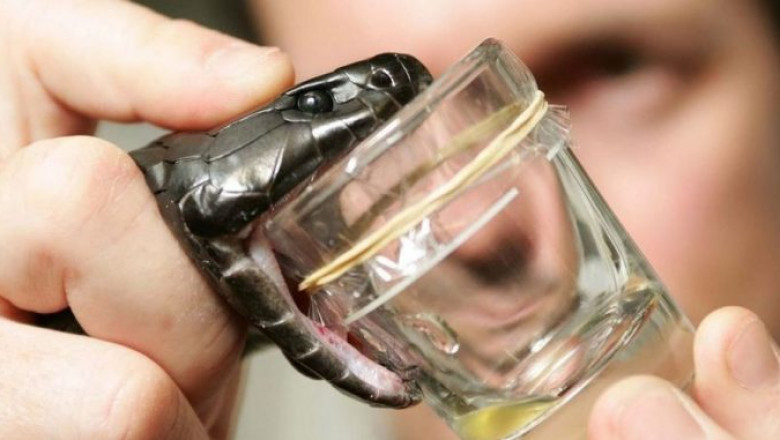 Global Anti-venom Market Analysis, Drivers, Restraints, Opportunities, Threats, Trends, Applications, And Growth Forecast To 2027