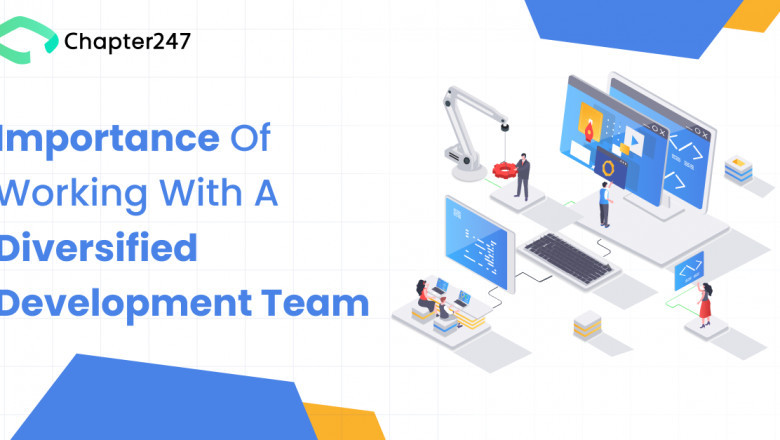 Know the Importance of Working With a Diversified Development Team - Chapter247