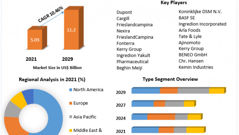 Prebiotic Ingredients Market : Rising Geriatric Population and Incidence of Target Conditions