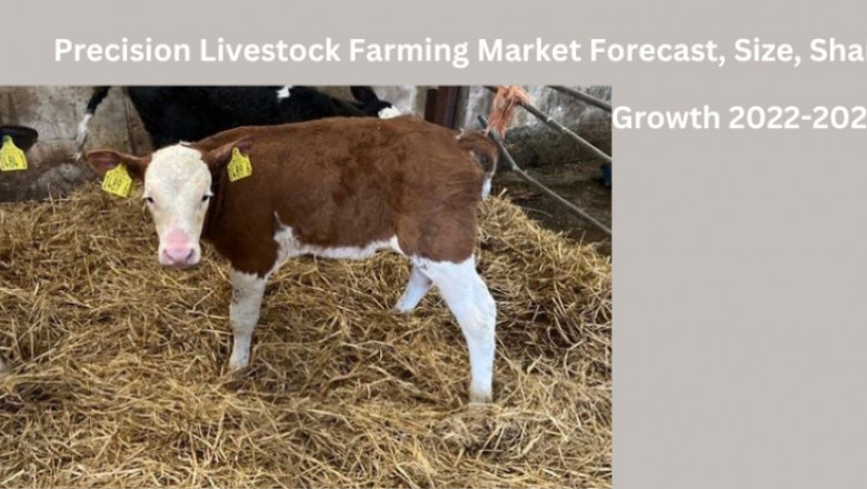 Precision Livestock Farming Market Forecast, share, size, and Growth 2022-2027