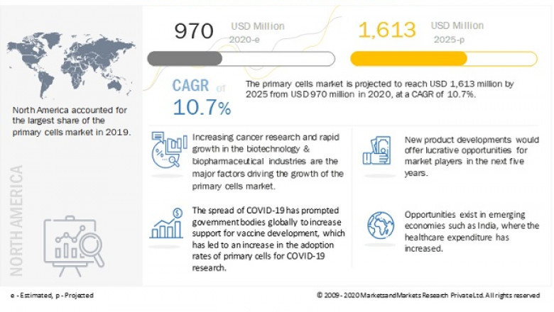 Primary Cells Market Size Expected to Gain USD 1,613 Million, at a 10.7% CAGR by 2025