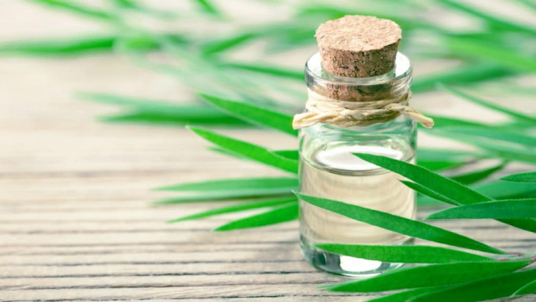 Tea Tree Oil Market