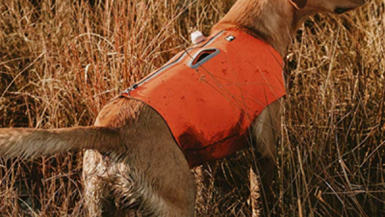 What should you know about Hunting and Swimmer Dog Vest?