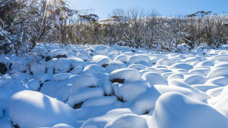 Why Are Landscape Photography Tours So Popular?