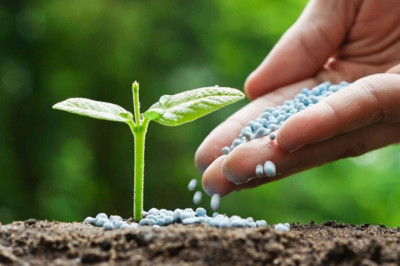 Agricultural Microbials Inoculants Serve A Specific Purpose Can Employed On A Variety Of Crops