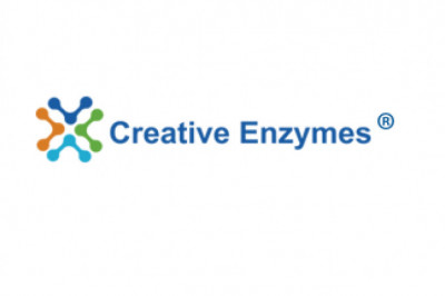 Enzyme Technology in Dairy Research