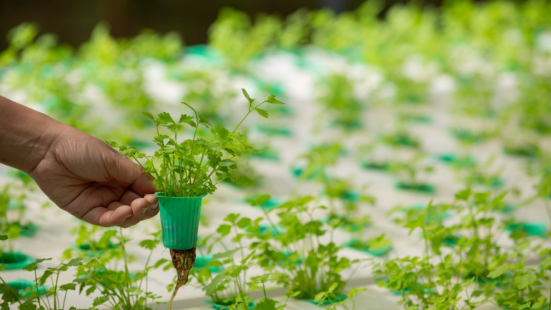 Hydroponics Email List | Hydroponics Industry Mailing List -MailingInfoUSA