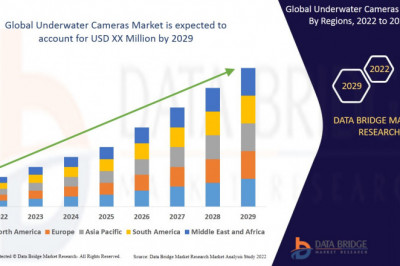 Underwater Cameras Market supply and demand