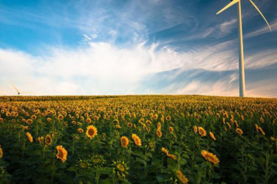 2022-2027  Ayurvedic Medicine Industry Status