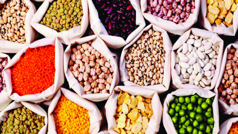 A Hybrid Seeds Is Derived From A Natural Out-Breeding Crop, Whereas An Inbred Line Is Developed From These Crops By Repeated Self-Pollination