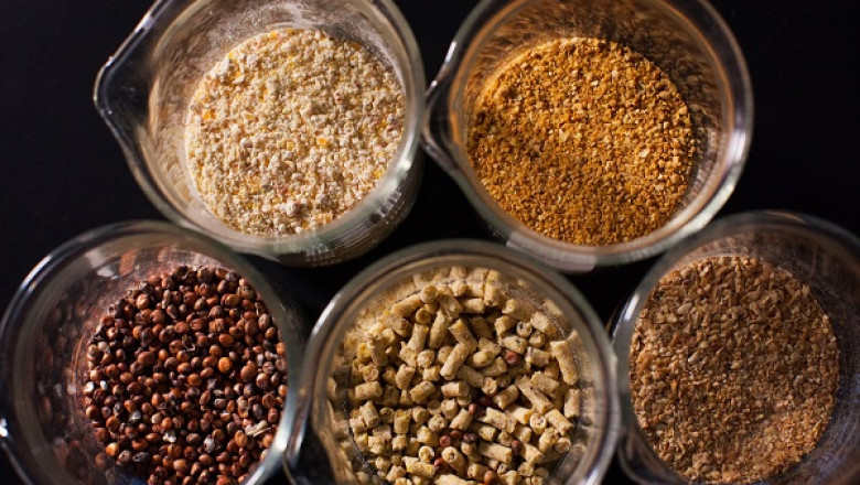 Global Enzymes Market Restraints