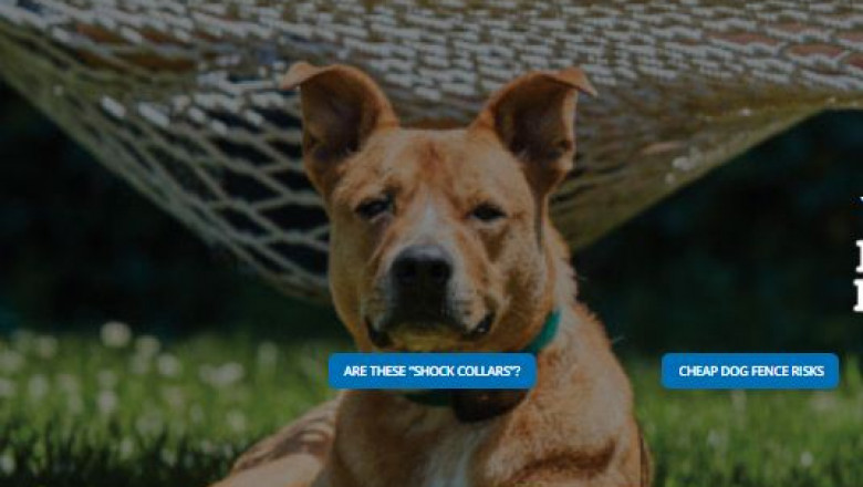 HOW CAN I MAKE AN INEXPENSIVE DOG FENCE?