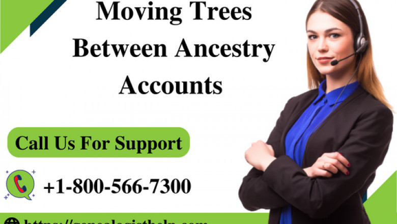 Moving Trees Between Ancestry Accounts | Step By Step Guide