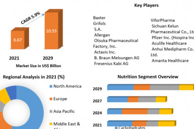 Parenteral Nutrition Market  Size, Share, Applications, Industry Demand And Forecast 2029