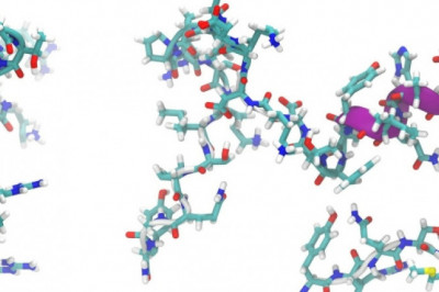 The Use Of Peptide Based Infection Therapeutics Can Cure Conditions Such As Diabetes, Cancer, Contagious Diseases, And Autoimmune Diseases