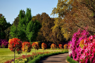 Tips for Buying Wholesale Nursery Supplies