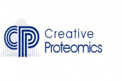 Top-Down Proteomics vs. Bottom-Up Proteomics