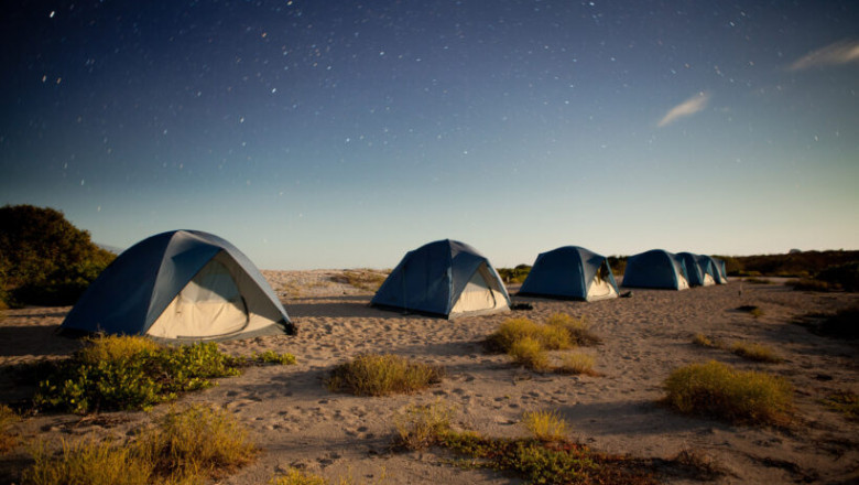 A Fun-Filled Vacation on the Galapagos Islands: Hopping Tours