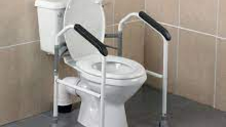 Bathroom and Toilet Aids Market 2022 Major Key Players and Industry Analysis Till 2028