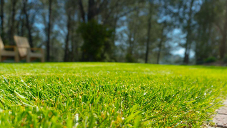 Before hiring a professional resume writer, consider these four things.