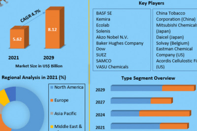 Cellulose AcetateMarket Industry analysis, segments, Size, Share, Growth Factors, opportunities, Trends, drivers and trends to 2029