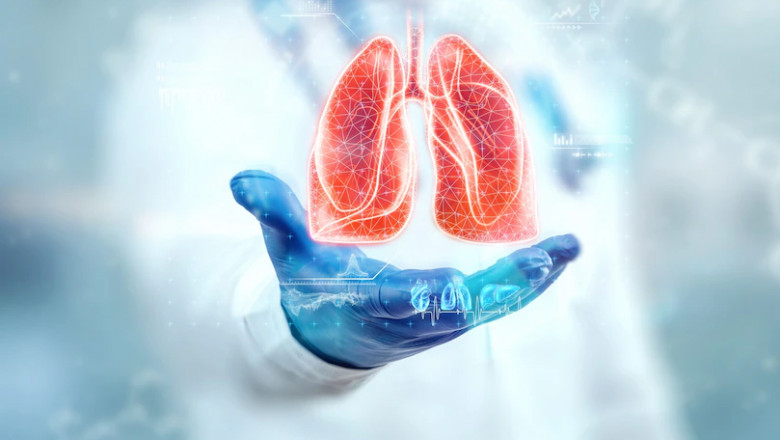 How To Detox Lungs At Home: Lungs Detox?