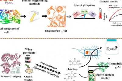 L-ARABINOSE HAS BROAD APPLICATION PROSPECTS IN COMPOUND FOOD INGREDIENTS