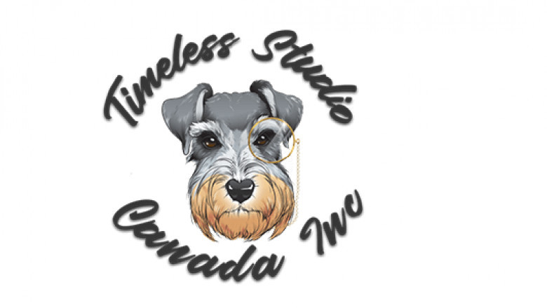 Several Things to Consider When Hiring a Web Designer