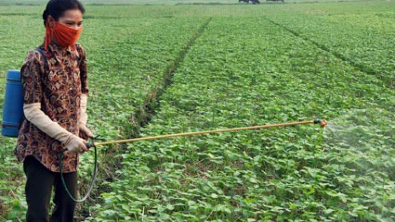 Vietnam Pesticides Market share, size, and Growth 2027