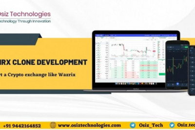 Tips that You Should Know Before Investing in Wazirx Clone!