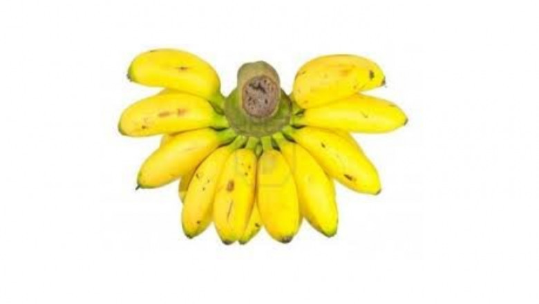What Does Dole fruit cup Mean?