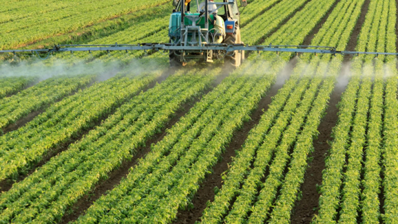 Best Practices for Effective and Efficient Pesticide Application