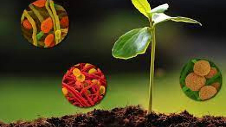 Biostimulant Market Size, Dynamics & Forecast Report to 2028