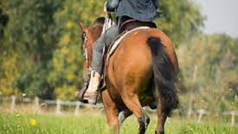 Global Horse Riding Apparel Market 2022: COVID-19 Impact Analysis and Industry Forecast Report, 2028