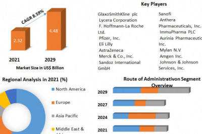 Global Systemic Lupus Erythematosus Treatment Market Application, Size, Share, Development, Growth and Forecast 2029