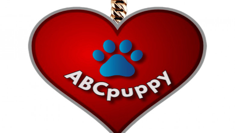 Information Vital Concerning The Korean Maltese Breeders