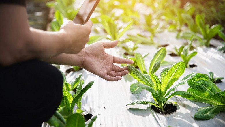 Smart Vineyard Management Report Will Record Rapid Growth till 2027