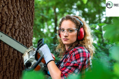 4 Justification To Employ An Arborist