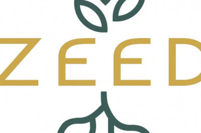 Get The Best Lebanese Olive Oil | Zeed Pantry
